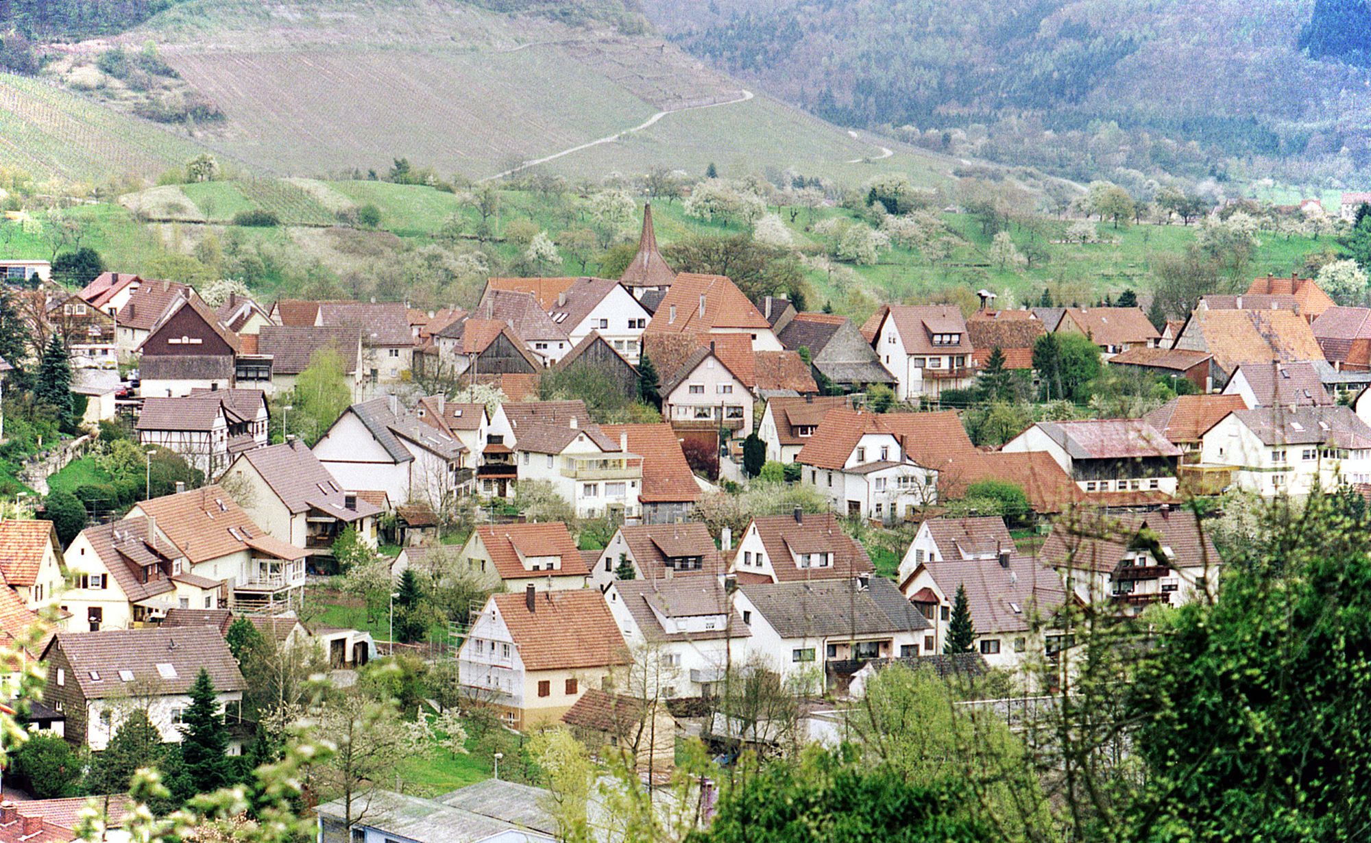 Ochsenbach von Westen, dahinter die Weinberge und Wälder des Strombergs